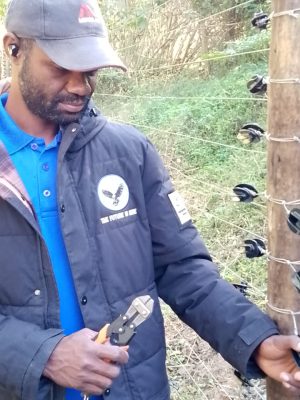 WhatsApp Image 2025-07-17 at 5.47.27 PM (1)