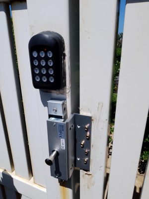 WhatsApp Image 2025-07-17 at 5.47.28 PM (1)