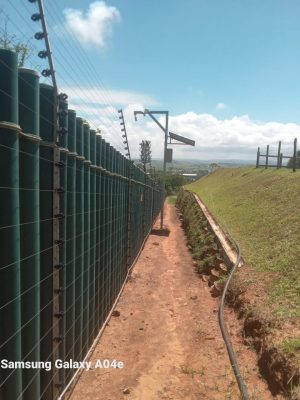 WhatsApp Image 2025-07-17 at 5.47.31 PM (1)