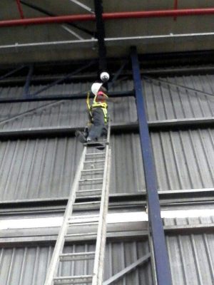 WhatsApp Image 2025-07-17 at 5.47.37 PM (1)