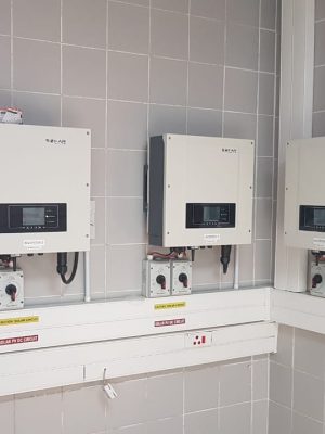 WhatsApp Image 2025-07-17 at 5.47.39 PM